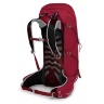 test234 Рюкзак туристический Osprey Talon 36